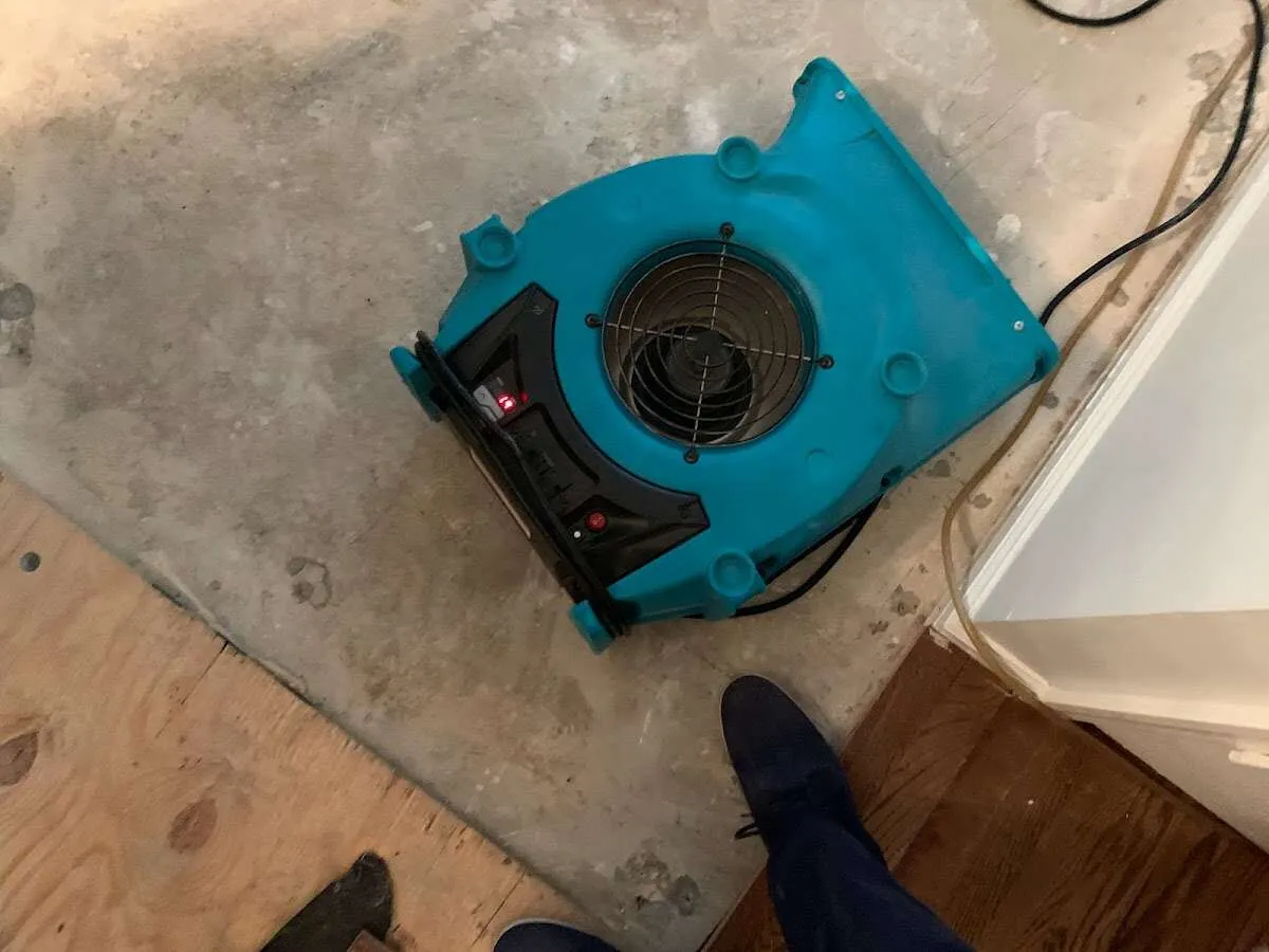 Air mover drying subfloor during Leak Detection & Repair in Derry